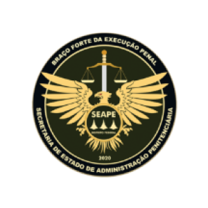 Logo SEAPE-DF
